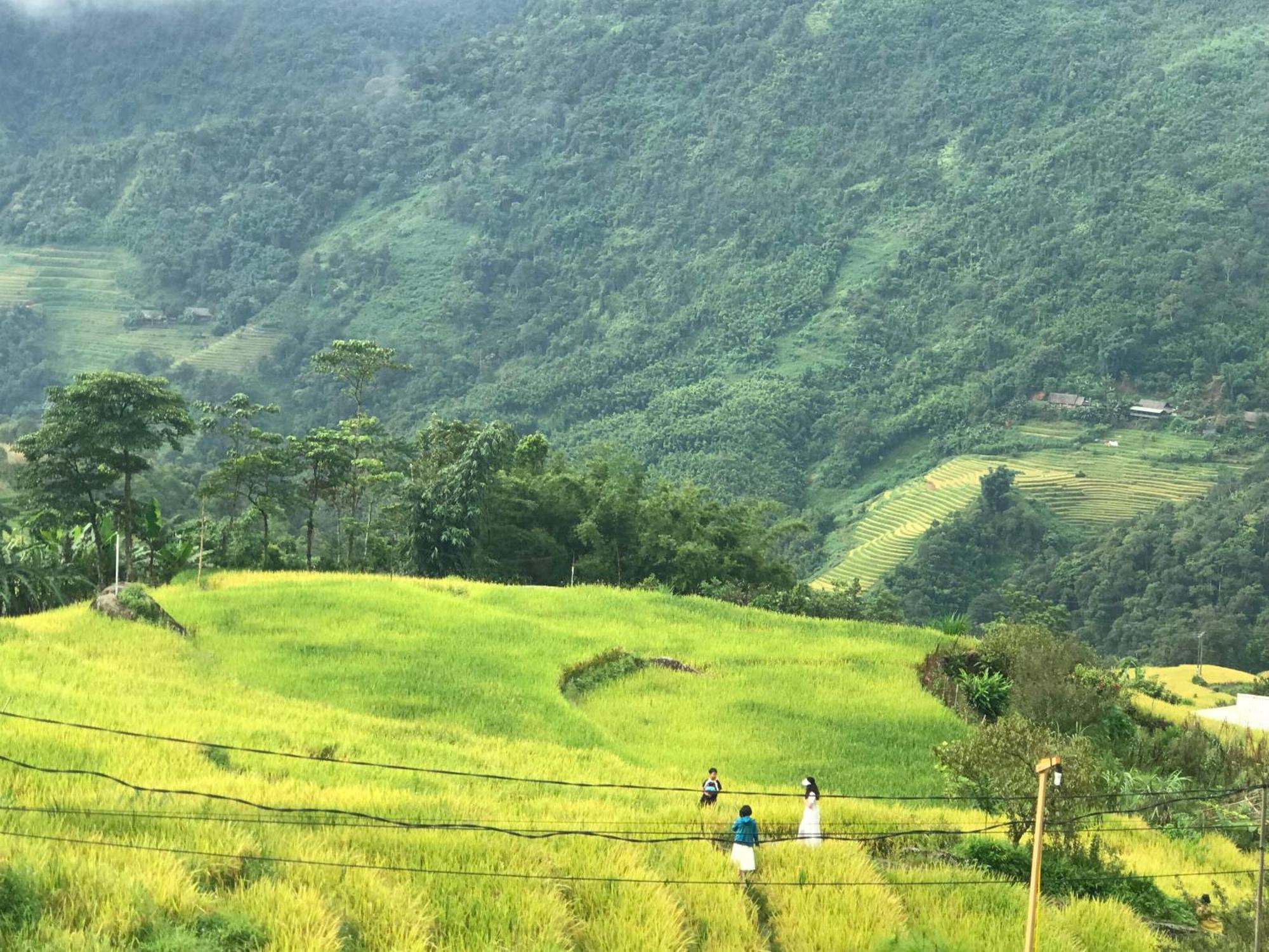 Sau Meo Mountain View Hotel Sa Pa Exterior photo