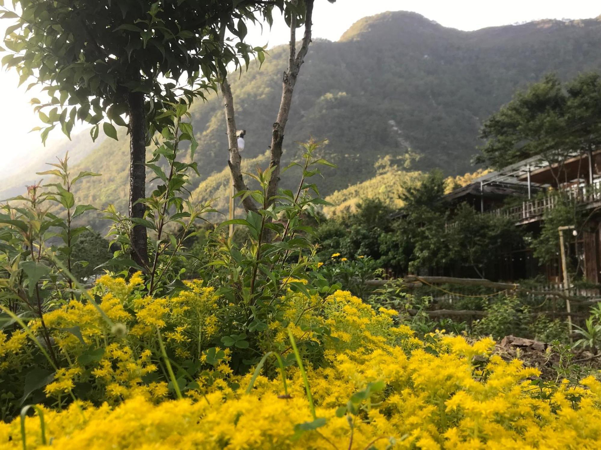 Sau Meo Mountain View Hotel Sa Pa Exterior photo